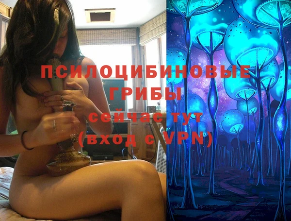прущая мука Ельня