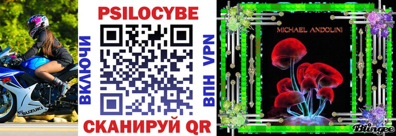 Купить где  Гурьевск  Псилоцибиновые грибы Psilocybine cubensis 